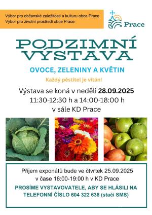 Barevné plody a květiny